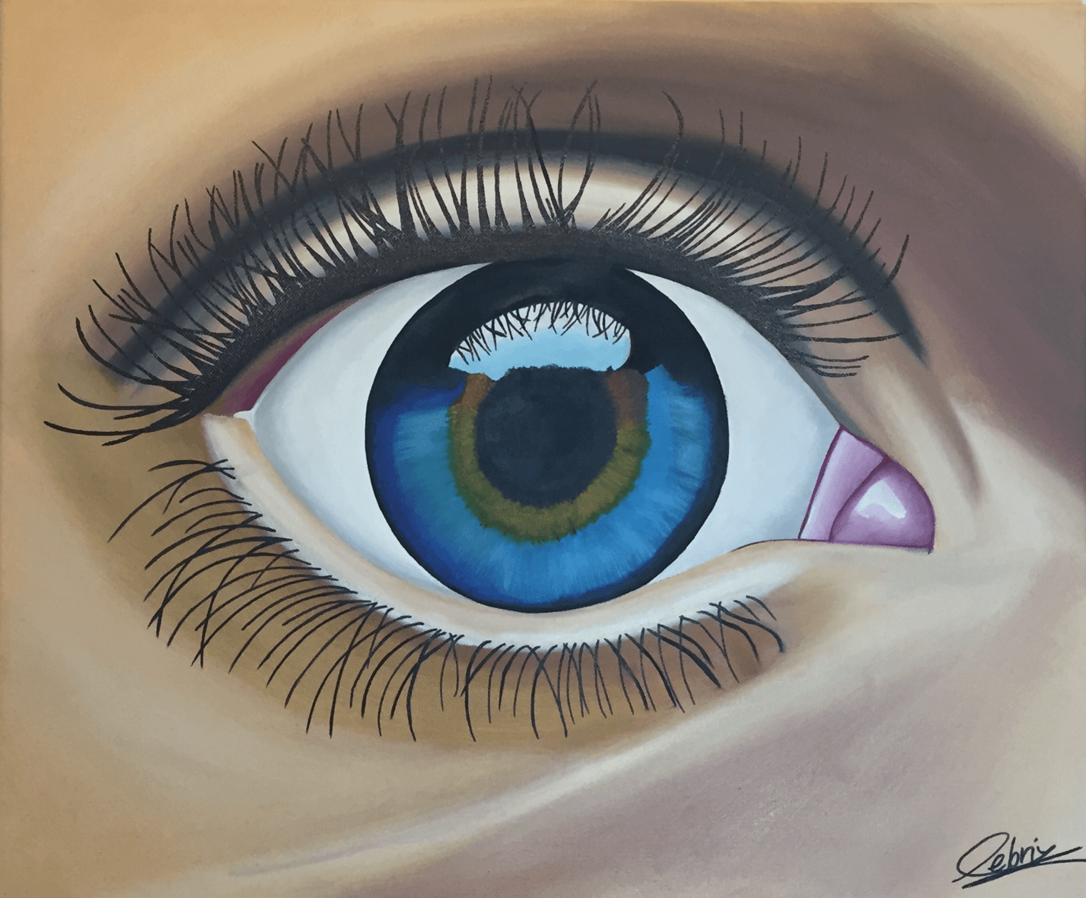 Oeil